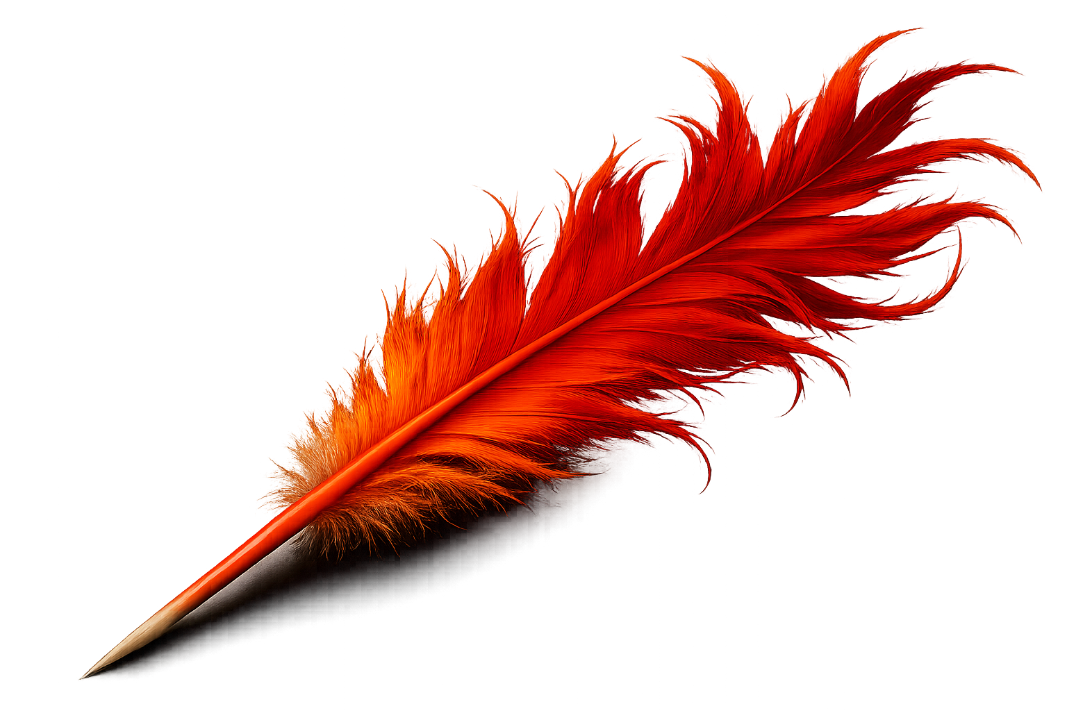 FENIX brk